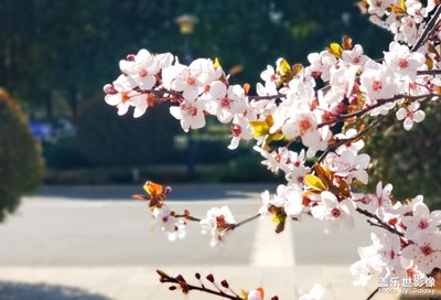【霸屏朋友圈】+多彩的時間