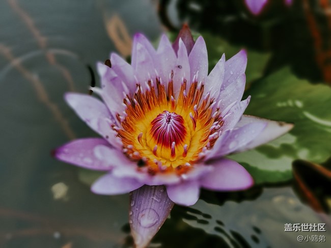 【Galaxy S21系列星粉體驗(yàn)團(tuán)】超越想象 ,如你非凡！