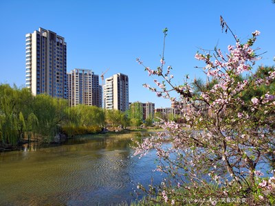 【新春星色彩】+最美人間四月天