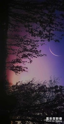 夕陽映月