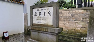 隨手拍