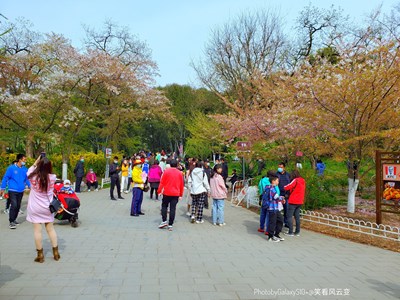 GalaxyS10+ 帝都行之玉淵潭（一）