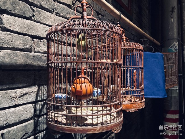 【Galaxy S21系列星粉體驗團】不一樣的旗艦，不一樣的s21+