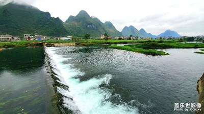 海菜花??