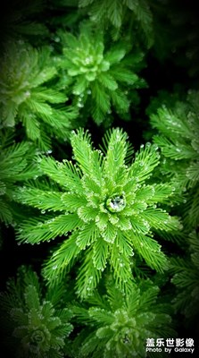 分享一張圖片