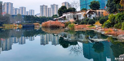 【光影記】+光影交錯