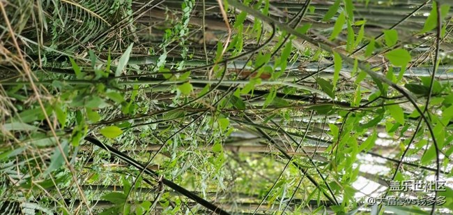 note10＋ 白天拍照還是很厲害的