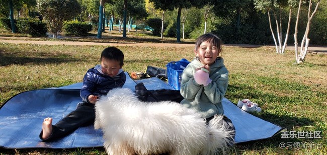 我家比熊今年5.1后不敢?guī)鲩T