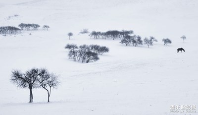 雪落無(wú)聲