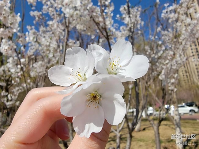 【母親節(jié)】父母輕松秒變拍照達(dá)人的秘訣(一) 【母親節(jié)】父母輕松秒變拍照達(dá)人的秘訣(一)