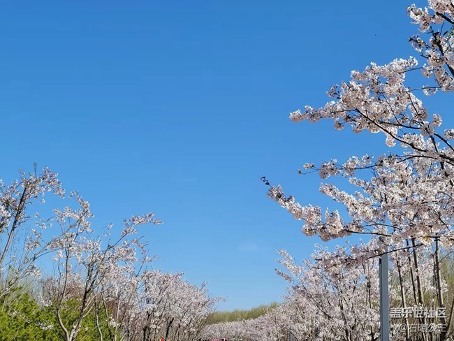 【母親節(jié)】父母輕松秒變拍照達(dá)人的秘訣(一) 【母親節(jié)】父母輕松秒變拍照達(dá)人的秘訣(一)