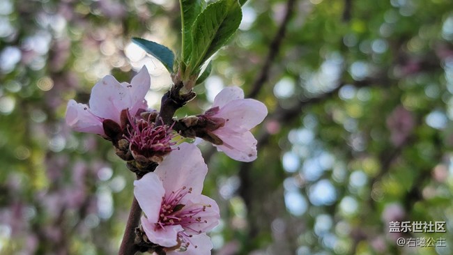 【母親節(jié)】父母輕松秒變拍照達(dá)人的秘訣(一) 【母親節(jié)】父母輕松秒變拍照達(dá)人的秘訣(一)