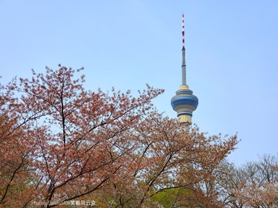 GalaxyS10+ 帝都行之玉淵潭（二）