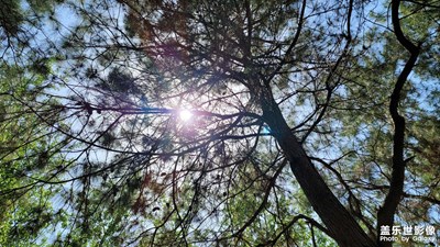 濱湖國(guó)家森林公園