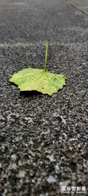 好看不？