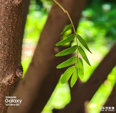 夏天的風(fēng)