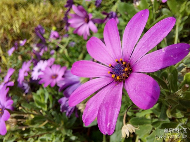 【Galaxy A52 5G星粉體驗(yàn)團(tuán)】性能小鋼炮