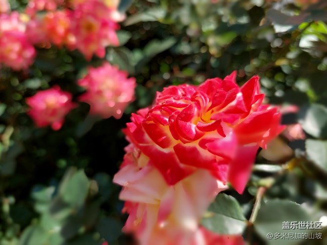 【Galaxy A52 5G星粉體驗(yàn)團(tuán)】性能小鋼炮