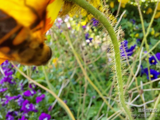 【Galaxy A52 5G星粉體驗(yàn)團(tuán)】性能小鋼炮