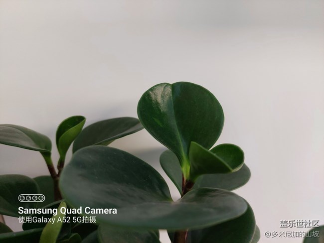 【Galaxy A52 5G星粉體驗(yàn)團(tuán)】性能小鋼炮