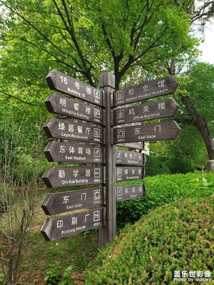 初夏校園一角
