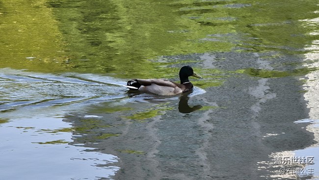 【母親節(jié)】父母輕松秒變拍照達(dá)人的秘訣（二）