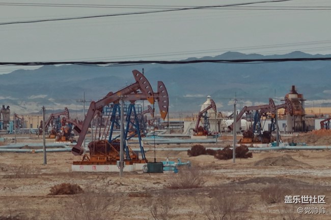 新疆探尋雪源之旅Vlog 回程中的這些極品美食你們值得擁有！