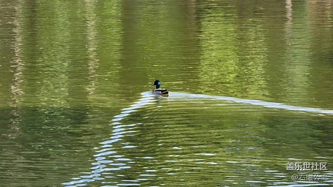 【母親節(jié)】父母輕松秒變拍照達(dá)人的秘訣（二）