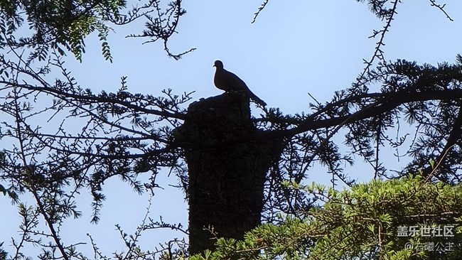 【母親節(jié)】父母輕松秒變拍照達(dá)人的秘訣（二）