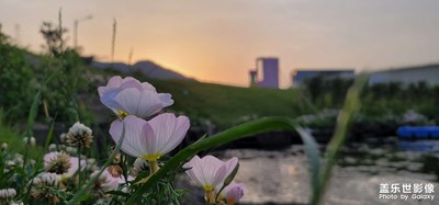 匆匆一年，又夏天