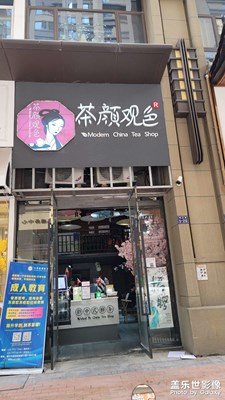 茶顏“觀”色