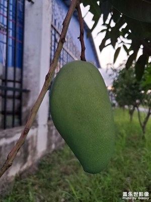 隨便