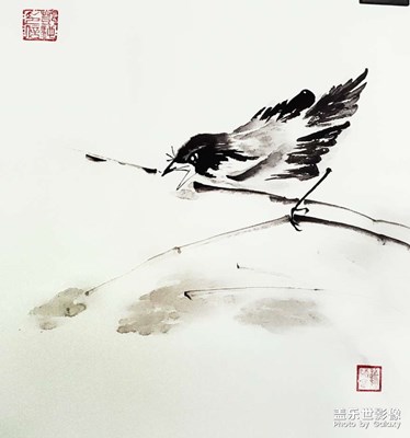 花鳥魚蝦