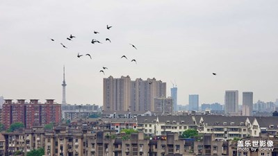 【陰天之下，城市黃昏】