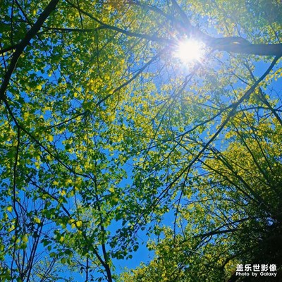 美麗大自然