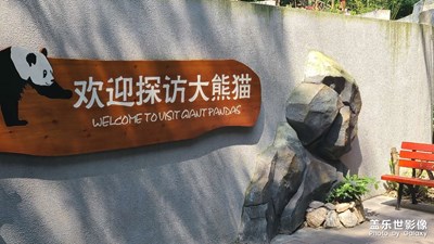 大熊貓