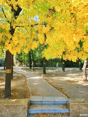 【蓋樂世影像周賽第191期】——我的色彩