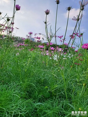 虎門公園