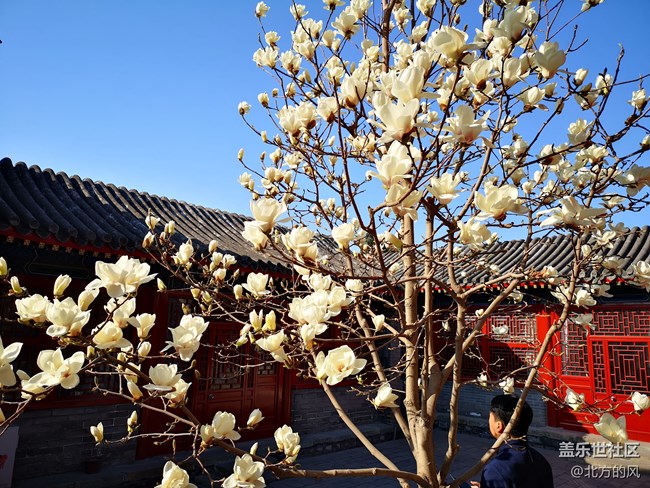 #部落大挑戰(zhàn)#+“春色大挑戰(zhàn)”