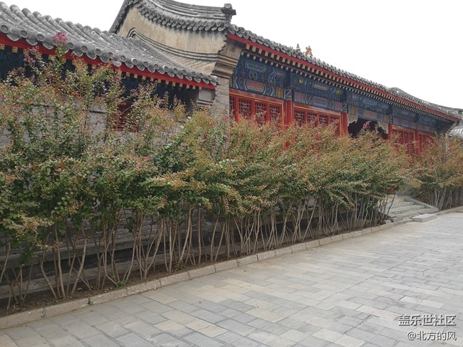 #部落大挑戰(zhàn)#+“春色大挑戰(zhàn)”