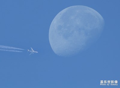 明月伴飛