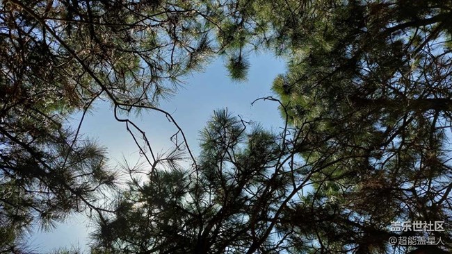 【A52評(píng)測體驗(yàn)】定位中端，實(shí)力不凡，全新Galaxy A52 5G