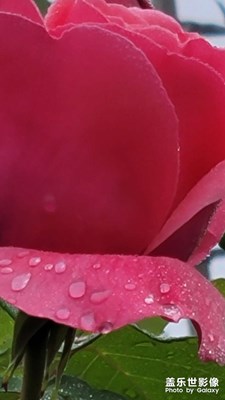 春雨