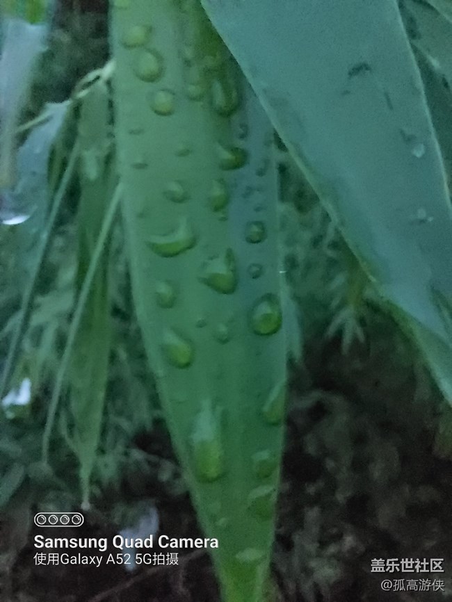 [ Gallaxy A52星粉體驗團]+使用感受