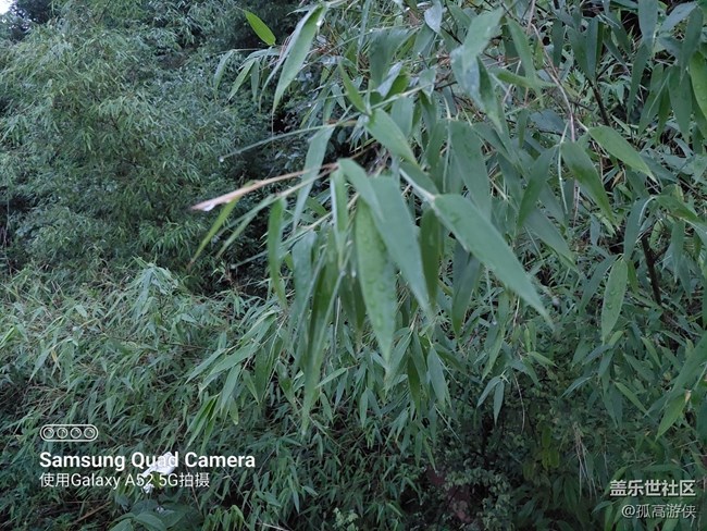 [ Gallaxy A52星粉體驗團]+使用感受