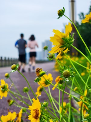 【家園麗景】+河邊散步