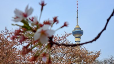 GalaxyS10+ 帝都行之玉淵潭（三）