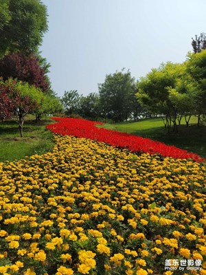 望京公園印象