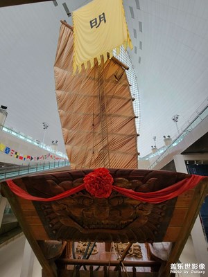 五月隨拍