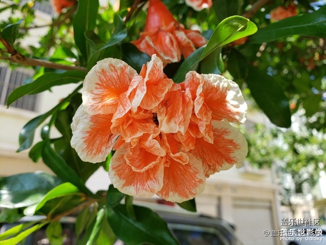 《每周星鮮事》 第66期:三星Galaxy F52 5G全款預(yù)定開啟